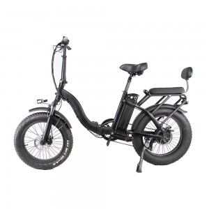 VB210 Assisting Wide Tire Foldable 20 inch Electric Bike