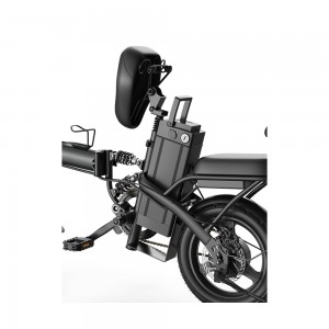 VB140 pagalbinė 14 colių krovininė lentyna, pasirenkamas elektrinis dviratis