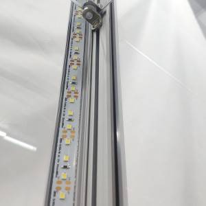 Custom na retail display case na may Vertical LED strips sa tapat ng pinto |OYE