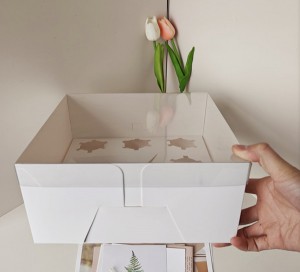 5 Holes Bento Box–One piece box
