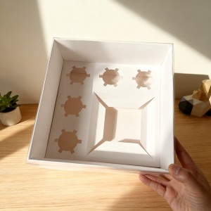5 Holes Bento Box–One piece box