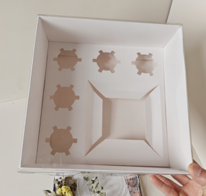 5 Holes Bento Box–One piece box