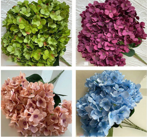 Seven-flowered Parisian Roses