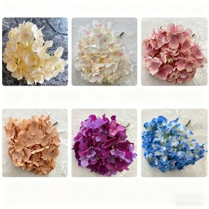 Nine-flowered Medium Roses
