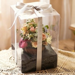 Rectangle Clear Box