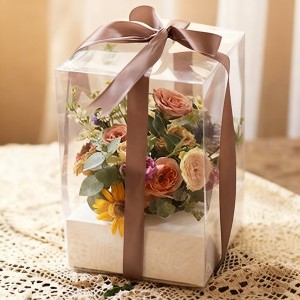 Rectangle Clear Box
