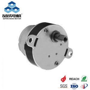 Wholesale Small DC Gear Motor – Chinese Factory | Pincheng Motor