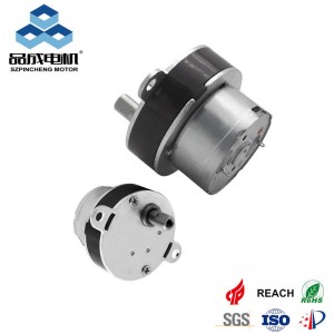 Wholesale Small DC Gear Motor – Chinese Factory | Pincheng Motor