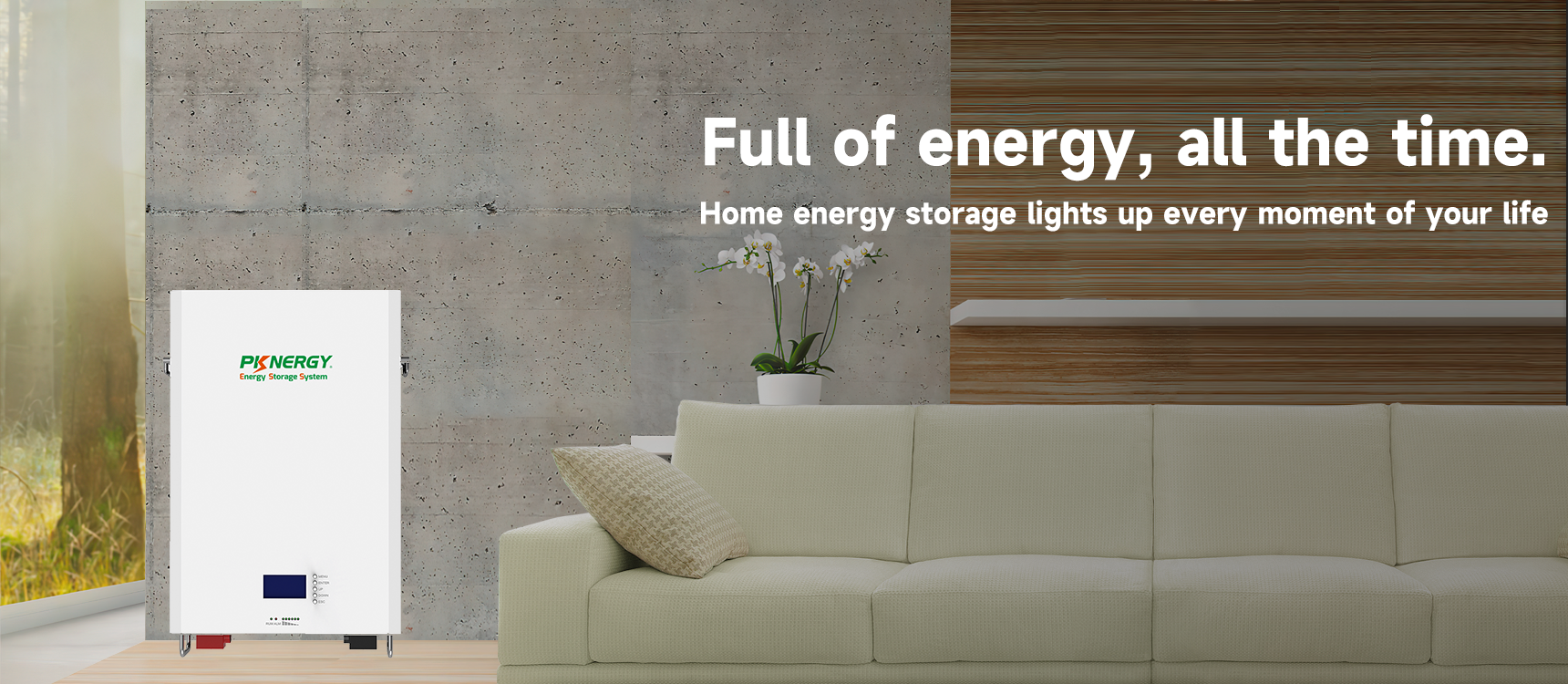 Home Energy Storage Battery Manufacturer-Pknergy