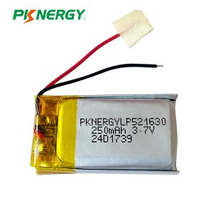 Batterie Li-Polymère PKNERGY personnalisée