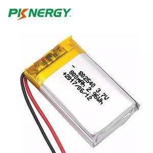 Lithium-Polymer Battery Customized