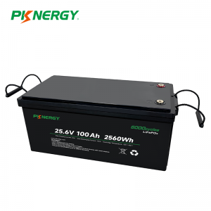 Pacco batteria PKNERGY 25,6 V 100 Ah LiFePO4