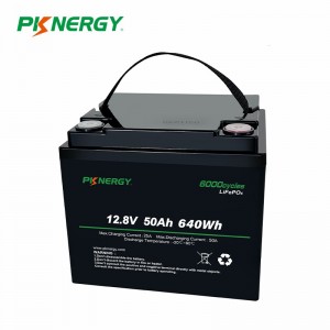 Pacco batteria LiFePo4 12V 50Ah prezzo di fabbrica PKNERGY