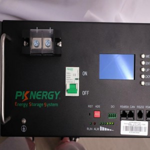 PKNERGY New Design 4U 48V 100Ah 5Kwh Rack Mounted Lifepo4 Battery