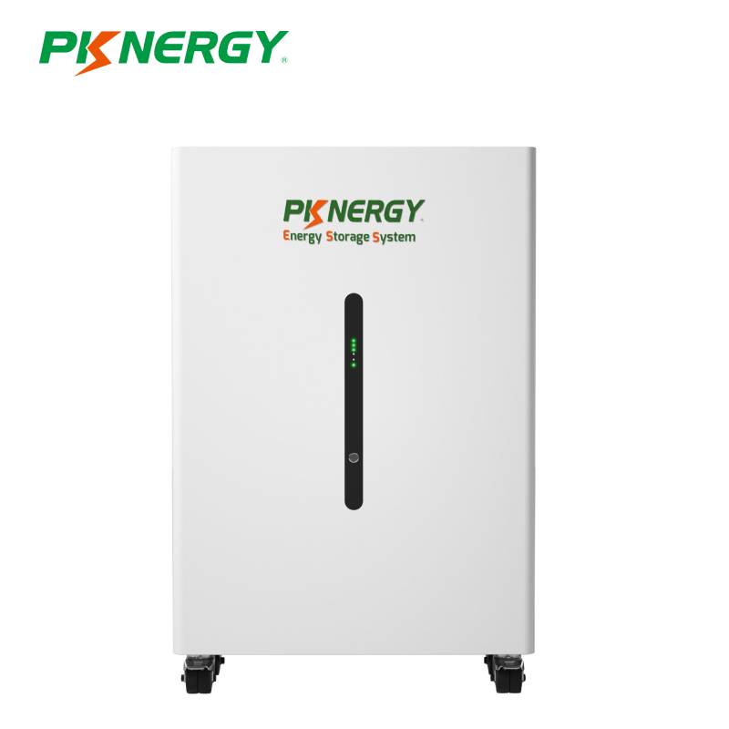 Batteria PKNERGY Powerwall LiFePO4 di nuovo design 5Kwh 51,2V 100Ah