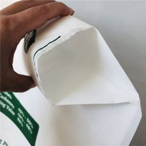चायना टायटॅनियम डायऑक्साइड क्राफ्ट पेपर व्हॉल्व्ह बॅग 20kg साठी गुणवत्ता तपासणी