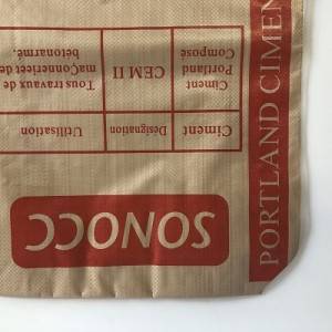 ຖົງຊີມັງ 50kg ລາຄາ gypsum Powder 40kg Bag Resin Ad Star PP Valve Bag