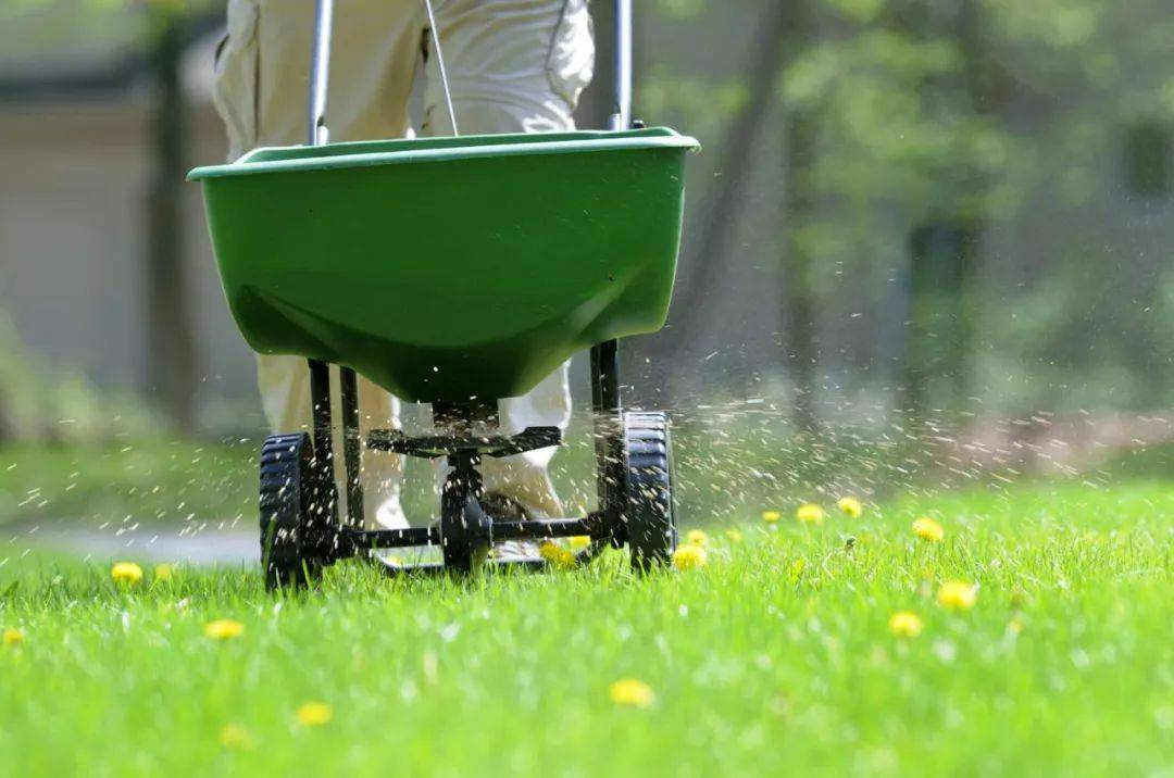 Kesälannoitteita koskevat varotoimet: Rehevän ja terveen nurmikon varmistaminen