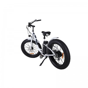 Fashion and Elegent fat tire unfolding Electric Bike for adults