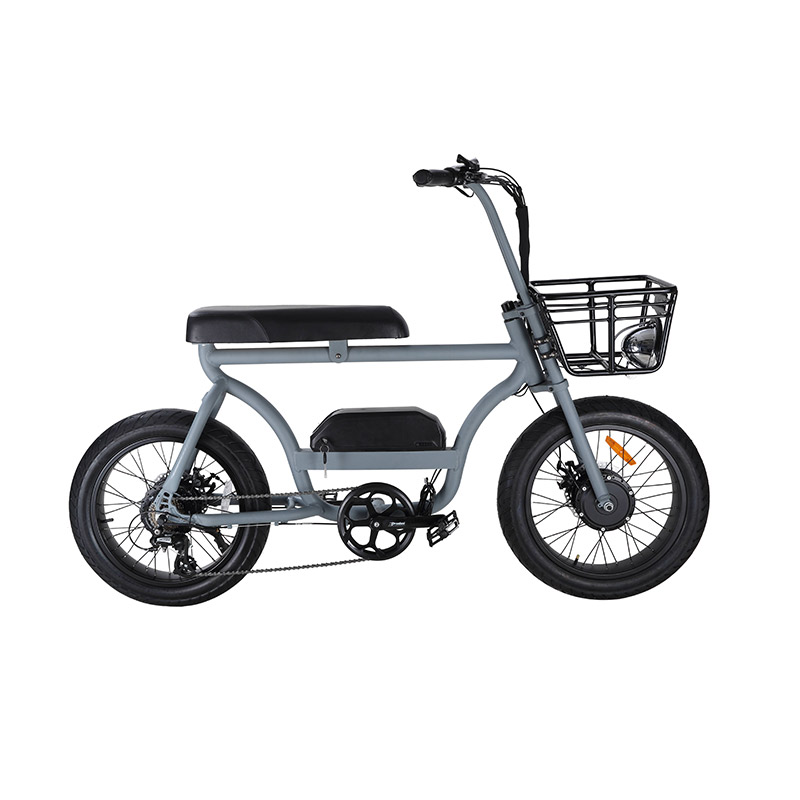 Electric Bicycle with dual long seat fat tyre moped ebike Featured Image