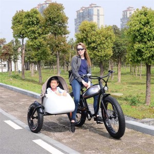 biçikleta me tri biçikleta rekreative në natyrë për të marrë fëmijët
