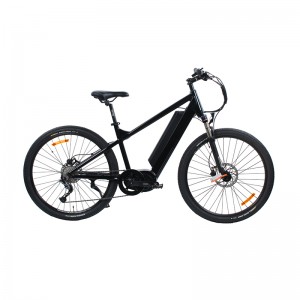 Popular Design for Electric Trike Bike - Electric Mountain bike 1000W 26Ah Battery Bicycle 48V Adult ebike – Purino