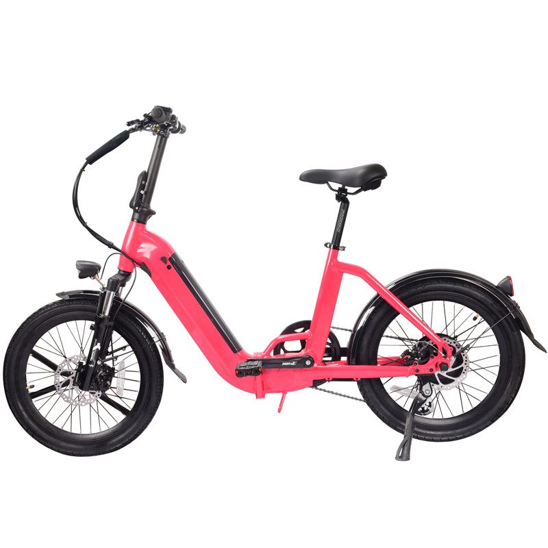 OEM Manufacturer Future Electric Bicycle - Wholesales cheap price foldable aluminum farme ebike for outdoor riding – Purino