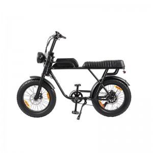 Super Lowest Price Turkey Electric Bike - E Bike Ebike Motor Dirt Mountain Fat Tire Bicycle Electric Bike – Purino