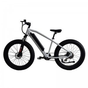 Fat Bike Էլեկտրական հեծանիվ