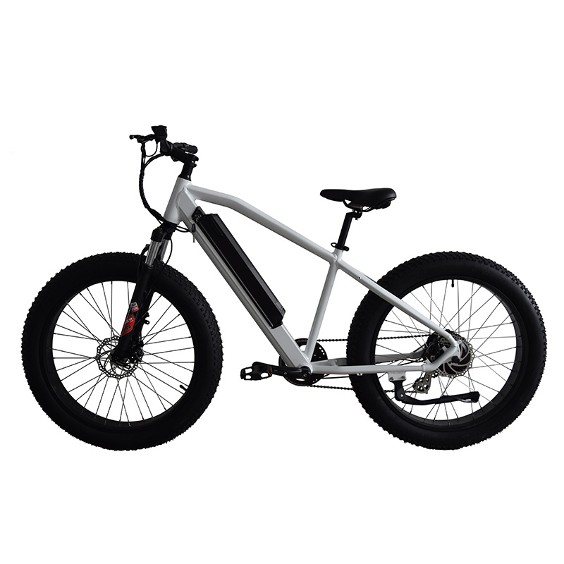Fat Bike Electric bicycle Featured Image