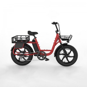 TY-G Utility Fashion light mountain bikebattery  electric bike bicycle