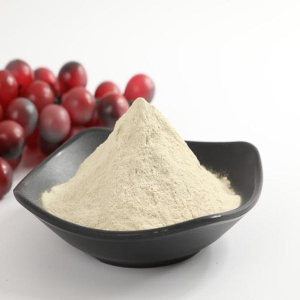 Best Price for Organic Poria Cocos Powder -
 Compound Amino Acid Te – Puyer