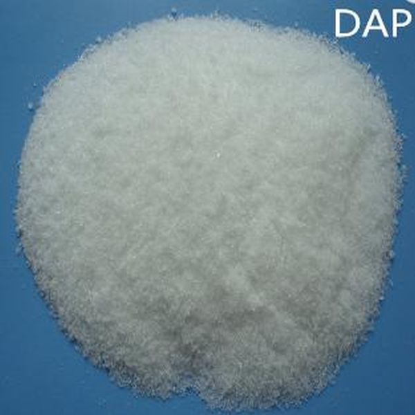 Lowest Price for Potassium Glycinate Chelate -
  Di ammonium Phosphate – Puyer