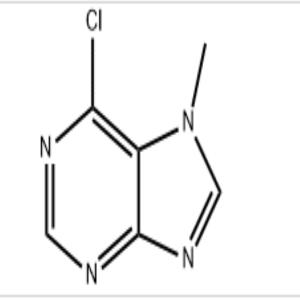 6-chloro-7-methyl-7H-purine CAS:5440-17-5