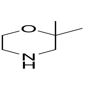 2,2-dimethylmorpholine CAS:147688-58-2