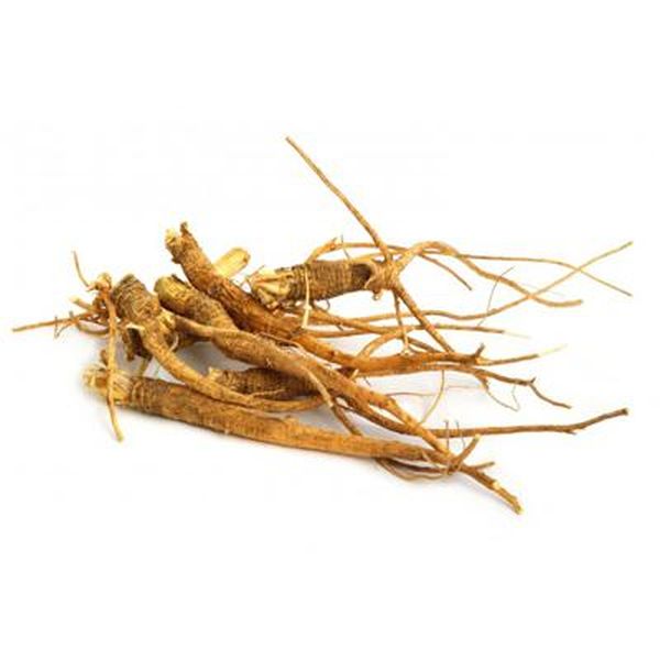 China Supplier Soya Bean Meal -
 American Ginseng – Puyer