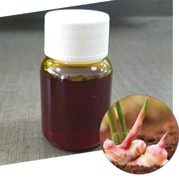 Wholesale Vegan Maca Powder -
 Liquid ginger extract – Puyer