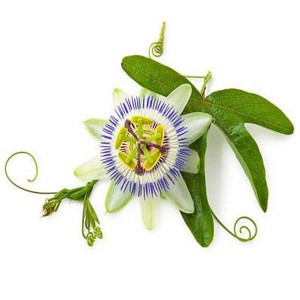 Organic Passion Flower 4:1