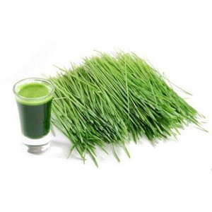 Barley grass and juice