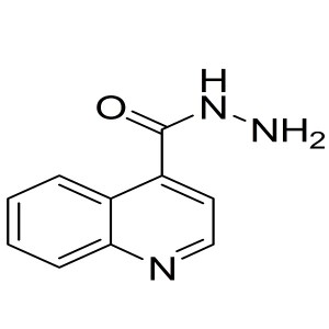 quinoline-4-carbohydrazide CAS:29620-62-0