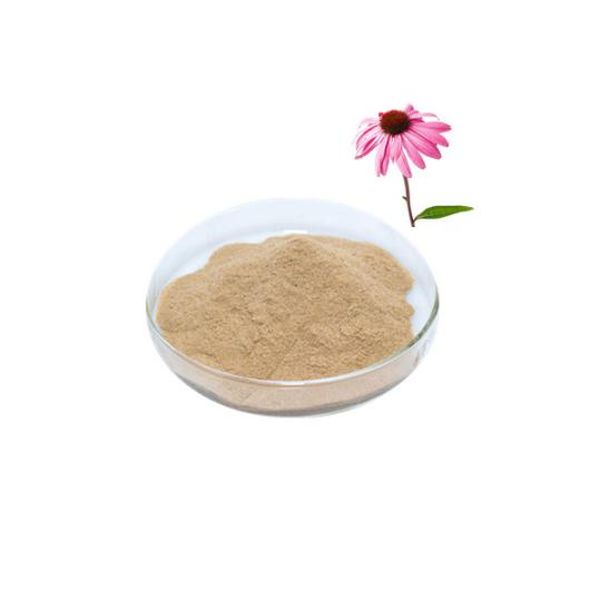 Factory Cheap L-Asparagine -
 Echinacea root – Puyer