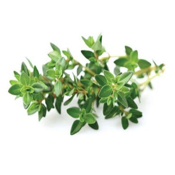 Top Quality Azamethiphos -
 Thyme – Puyer