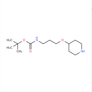 tert-Butyl (3-(piperidin-4-yloxy)propyl)carbamate CAS:1376134-81-4