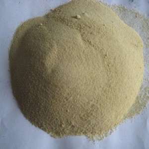I-Amino Acid 50% Powder Organic