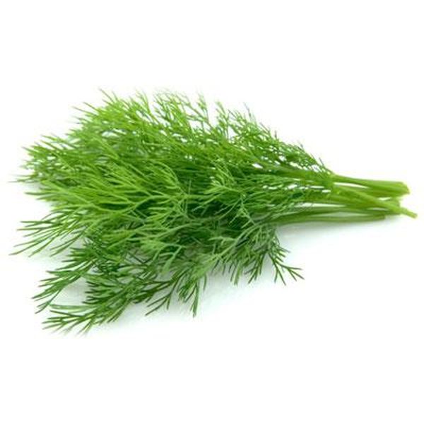 OEM/ODM Factory Py-Tf Gold Plus -
 Dill Weed – Puyer