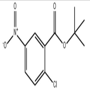 2-Chloro-5-nitro-benzoic acid tert-butyl ester CAS:55233-05-1