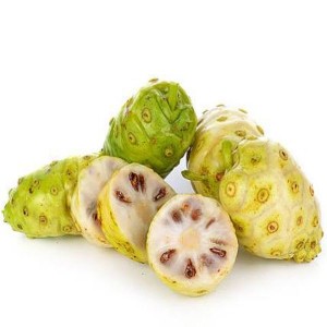 Well-designed Meticlorpindol -
 Noni Fruit – Puyer