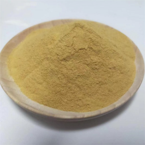 Palladium(Ⅱ) chloride CAS:7647-10-1
