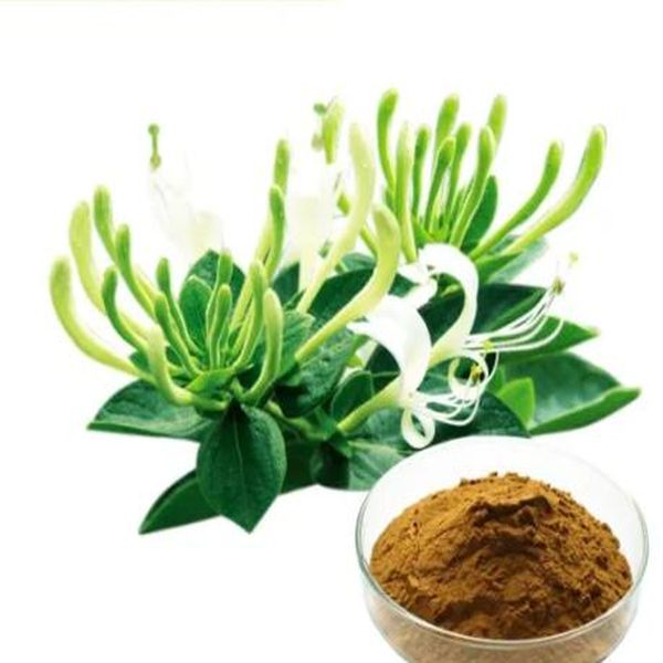Fast delivery Sodium Tartrate -
 Lonicera japonica – Puyer