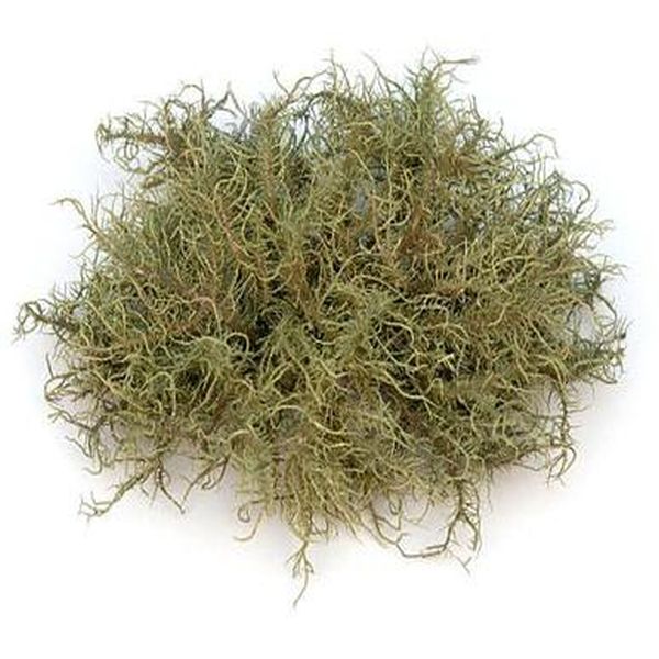 Wholesale Dealers of Lutein Powder 5% 10% 20% -
 Usnea – Puyer